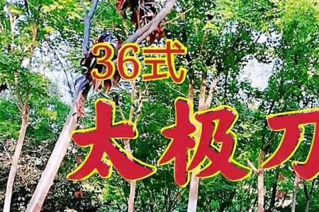 16式太极刀背面口令