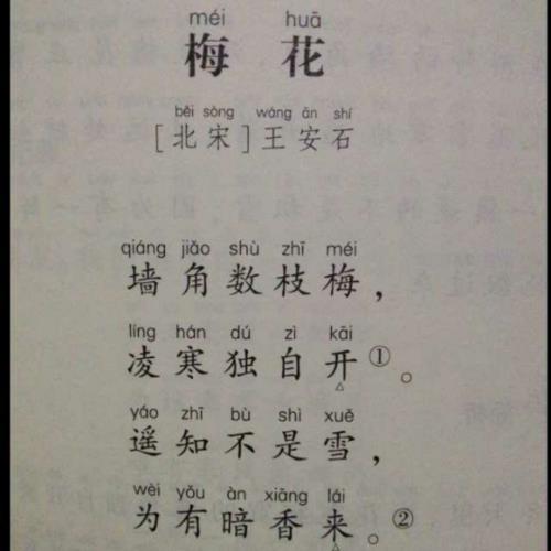 古诗梅花能想象出怎样一个画面
