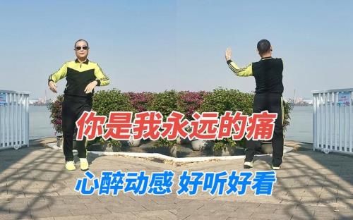 你是我永远的痛原唱原版