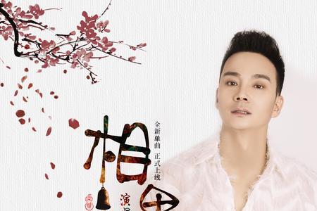 相思酒歌曲什么意思