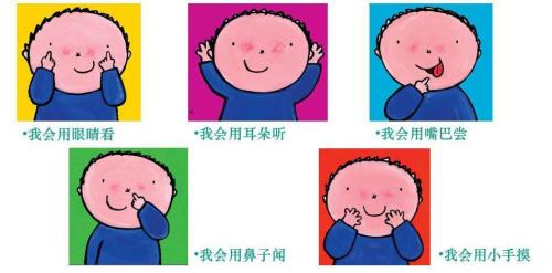 感官包括什么
