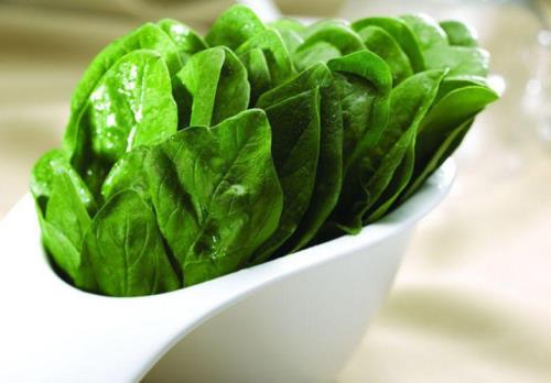 胡子喂菠菜怎么不乱飘