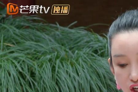 秦海璐为什么是郭麒麟干妈