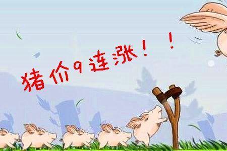 再过十天猪价会涨吗