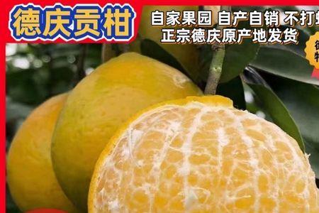 昌化桔子果做法