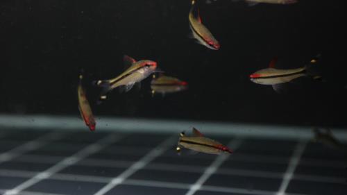 一眉道人水温30度没事吧