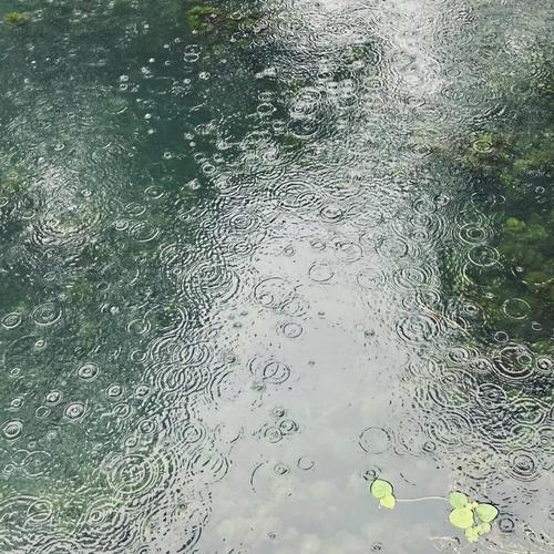 下雨冒泡泡下雨持续多久