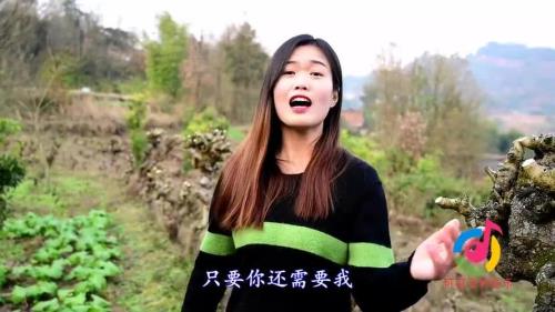 歌曲如果你还需要我