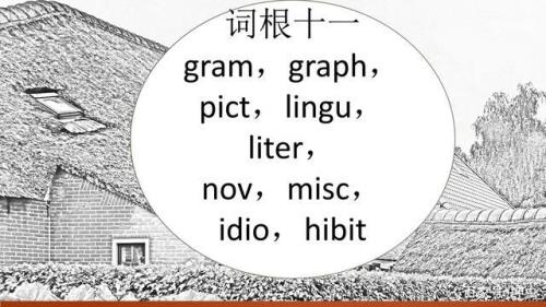vio是什么词根