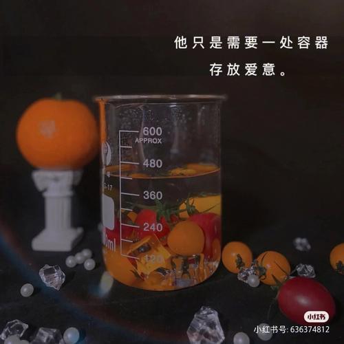 你是我的洛希极限什么意思