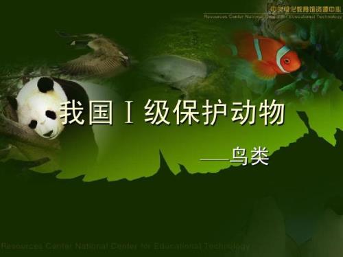 国家三级级保护动物名单