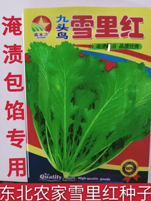 雪中红养多了行吗