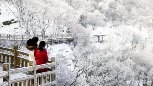 港城不下雪大结局