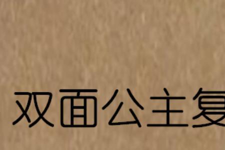 双面佳人新荷复仇结局