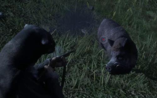 荒野大镖客2传说动物有何用