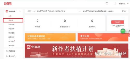 头条分成收入是什么意思