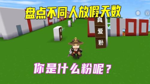 迷你真爱粉怎么做