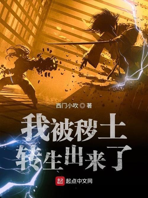 西门小吹雪的小说