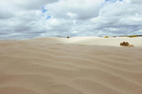 荒芜沙漠41关怎么过
