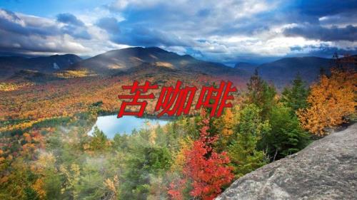 苦咖啡谁写的