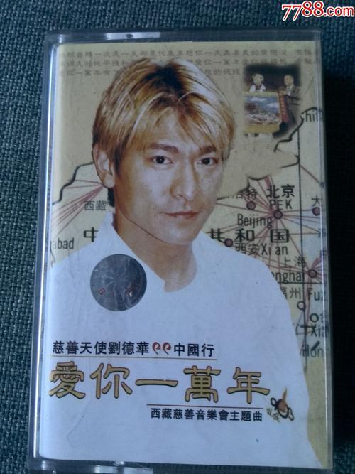 我会保证爱你一万年是什么歌