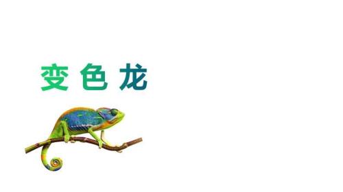 课文变色龙龙分为那几个部分