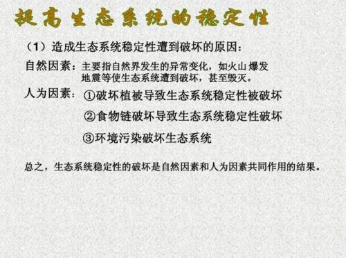 生态系统的协调者