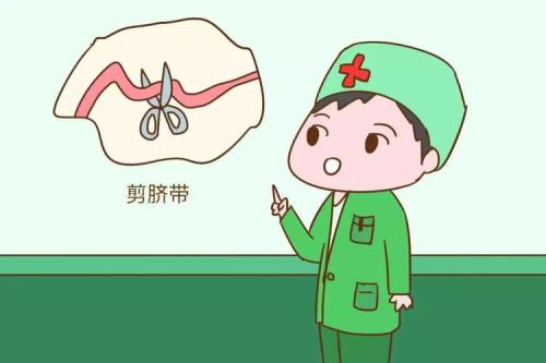 兔子的脐带怎么剪