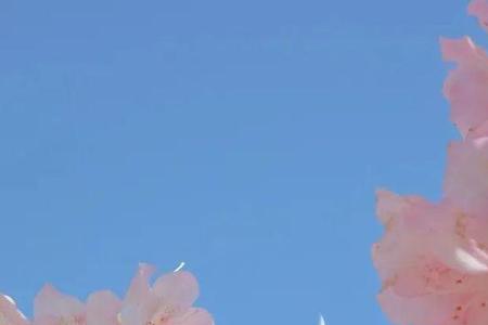 阳光温柔什么意思