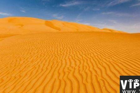 荒漠vip旁边叫什么