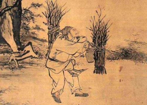 柴衣是什么