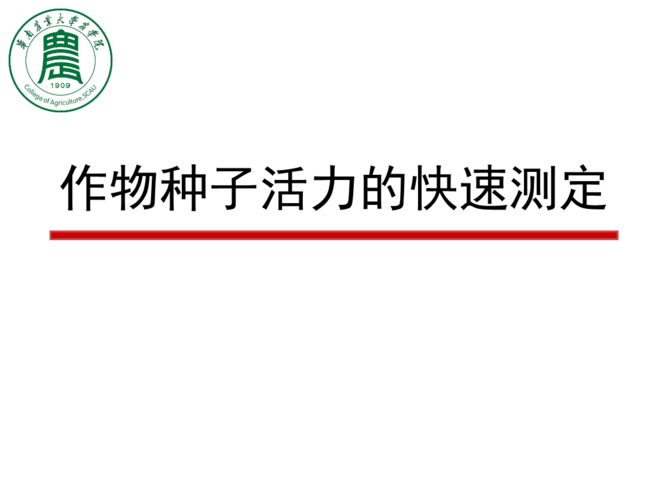 种子链接是什么原理