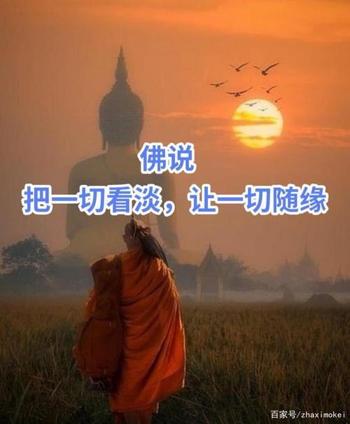 人生总有太多的来不及下一句