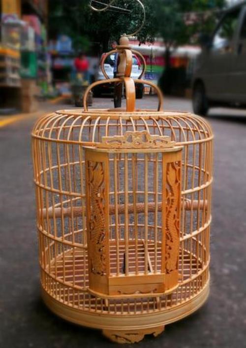 八哥用竹笼还是铁笼