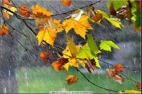 细细的雨点怎么样落下来