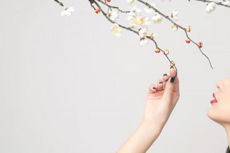 女人的辛酸泪原唱