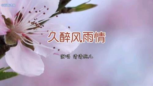 久醉风雨情完整版原唱
