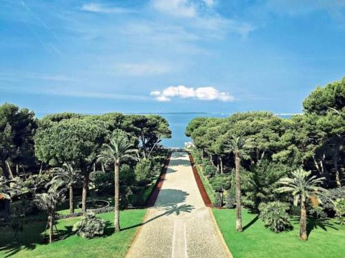 太奢侈了什么意思