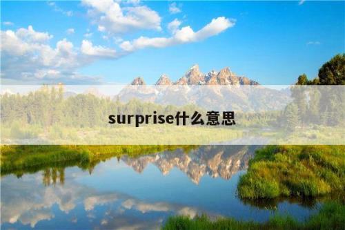 suprise和surprise的区别