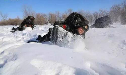 冰欺雪扰的意思