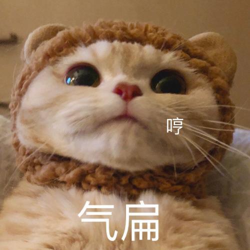 身居大行口吐雾是什么动物