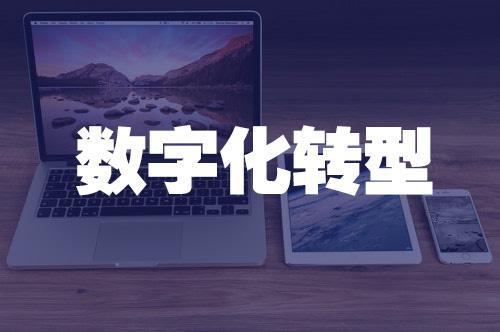 数字化运营专业就业前景