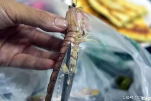 虾头上的刺有什么用