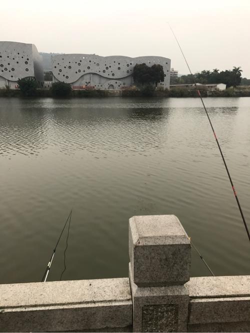 珠海金鼎野钓好位置