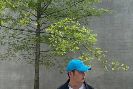 康式坦什么意思