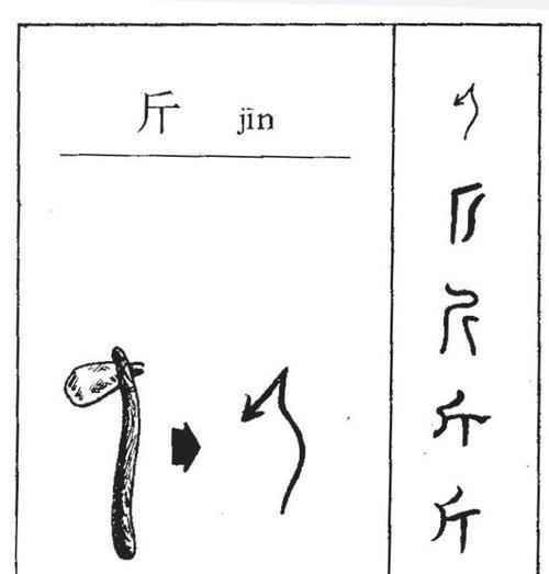 跟部首有关的字都是象形字