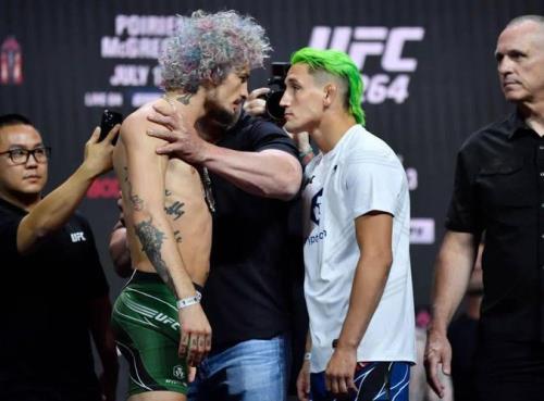 ufc钻石一拳多重