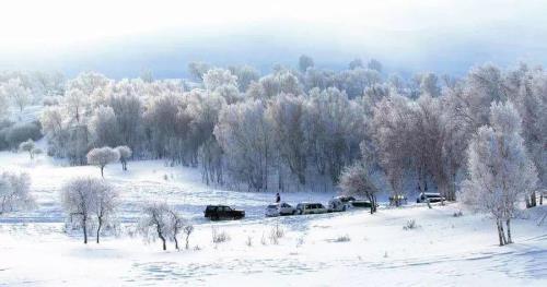 用比冰天雪地更冷的词语写场景