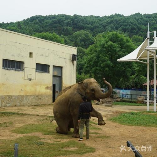 无锡动物园年卡夜公园能用吗