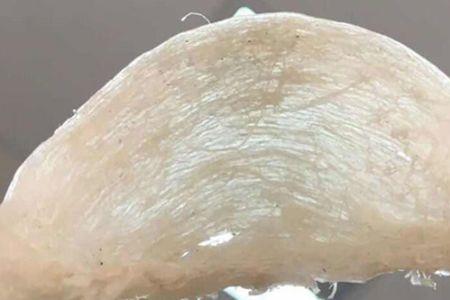 九品燕与燕窝的区别